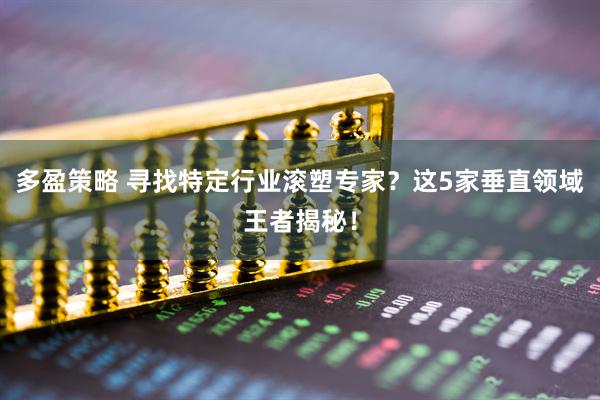 多盈策略 寻找特定行业滚塑专家？这5家垂直领域王者揭秘！