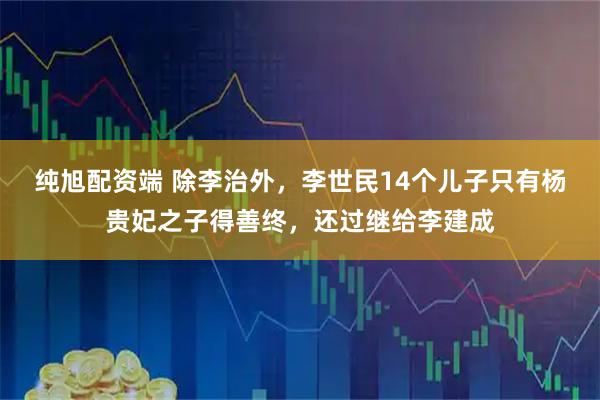 纯旭配资端 除李治外，李世民14个儿子只有杨贵妃之子得善终，还过继给李建成
