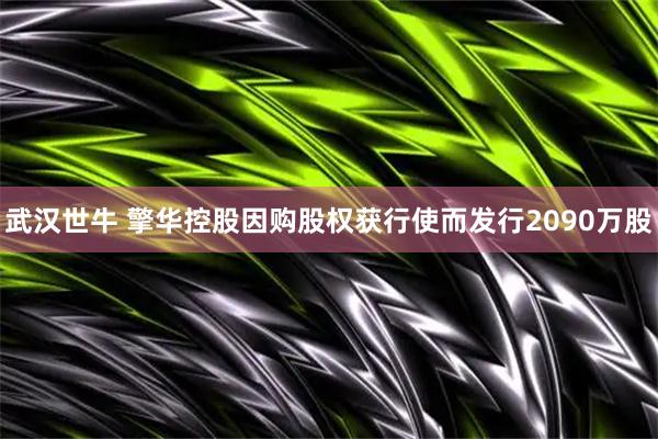 武汉世牛 擎华控股因购股权获行使而发行2090万股