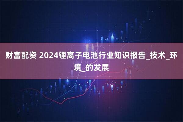 财富配资 2024锂离子电池行业知识报告_技术_环境_的发展